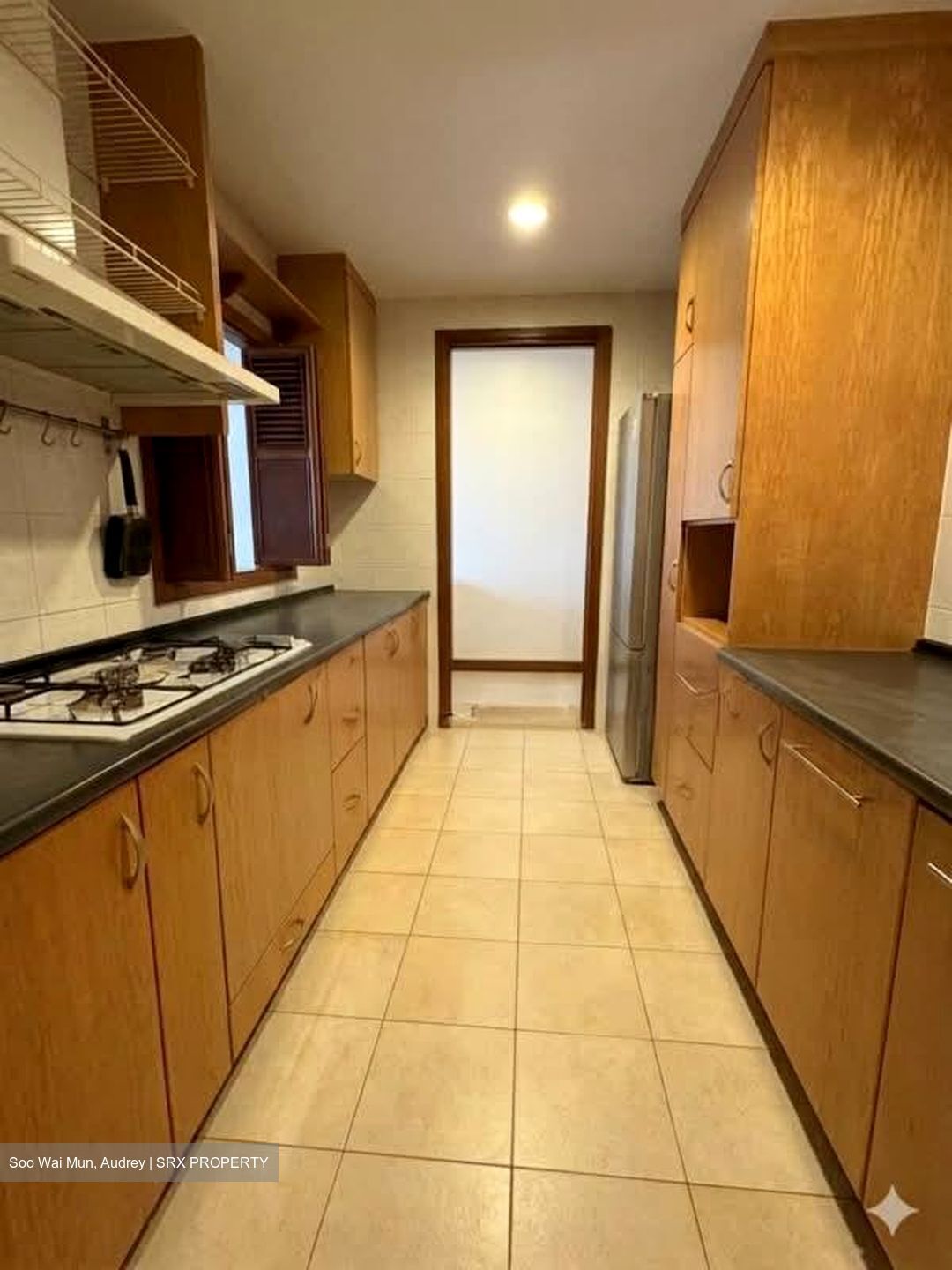 Tanglin View (D3), Condominium #558136541